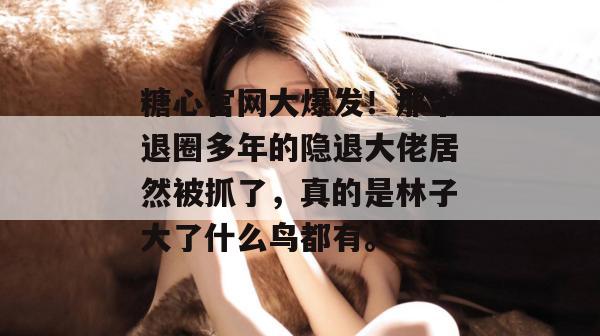 糖心官网大爆发！那个退圈多年的隐退大佬居然被抓了，真的是林子大了什么鸟都有。